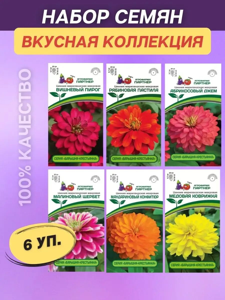 Циния георгиновидная примавера. Агрофирма партнер цинии семена. Цинния георгиновидная. Цинния малиновый щербет. Цинния мариландская махровая.