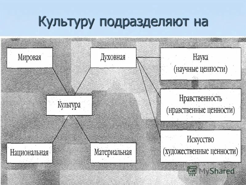 Мир культуры примеры