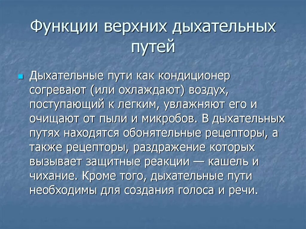 Каковы функции дыхания. Функции дыхательных путей. Роль верхних дыхательных путей. Функции нижних дыхательных путей. Верхние дыхательные пути строение и функции.