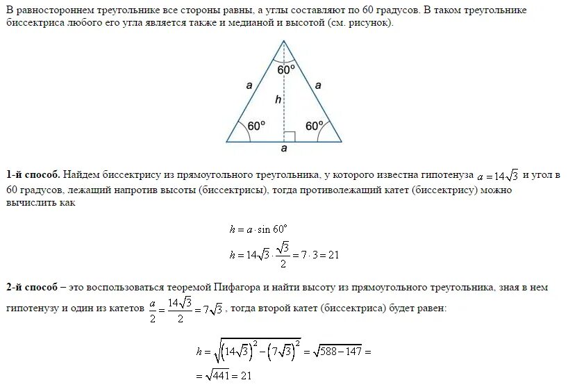 Все ли высоты равностороннего треугольника равны