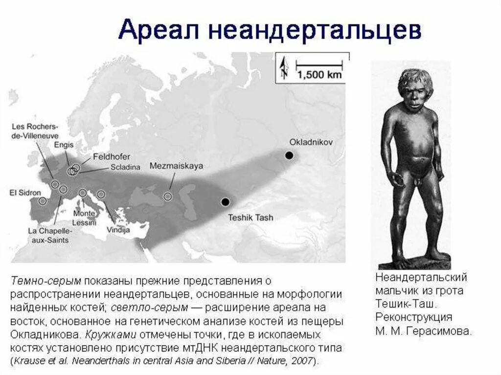 Распространение людей на земле сообщение. Ареал обитания кроманьонцев карта. Неандертальцы территория обитания. Ареал обитания неандертальцев карта. Карта расселения неандертальцев.