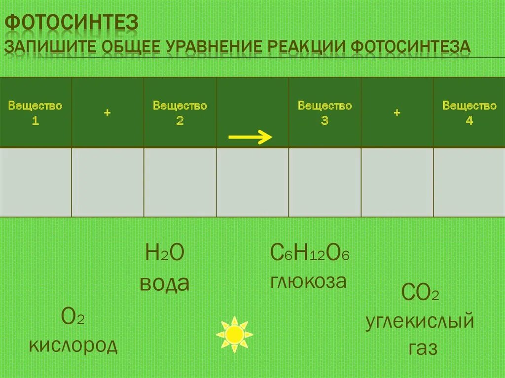 Результат фотосинтеза