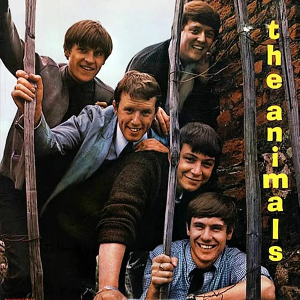 The animals is happy. The animals 1964. the animals 1964 album. группа the animals альбомы. the animals animalisms 1966.