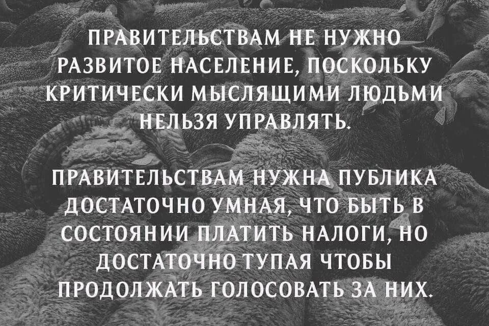 Критическое мышление цитаты. Фраза про критическое мышление. критически мыслить цитаты. цитаты про мышление. критическое мышление афоризмы.