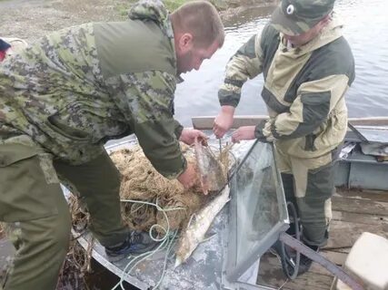 Енисейское территориальное управление рыболовства