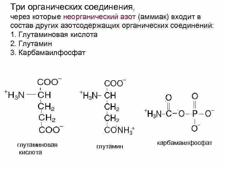 Азот входит в группу. Органические соединения с азотом. Неорганические соединения азота. Классификация азотсодержащих органических соединений. Соединения с азотом в органике.