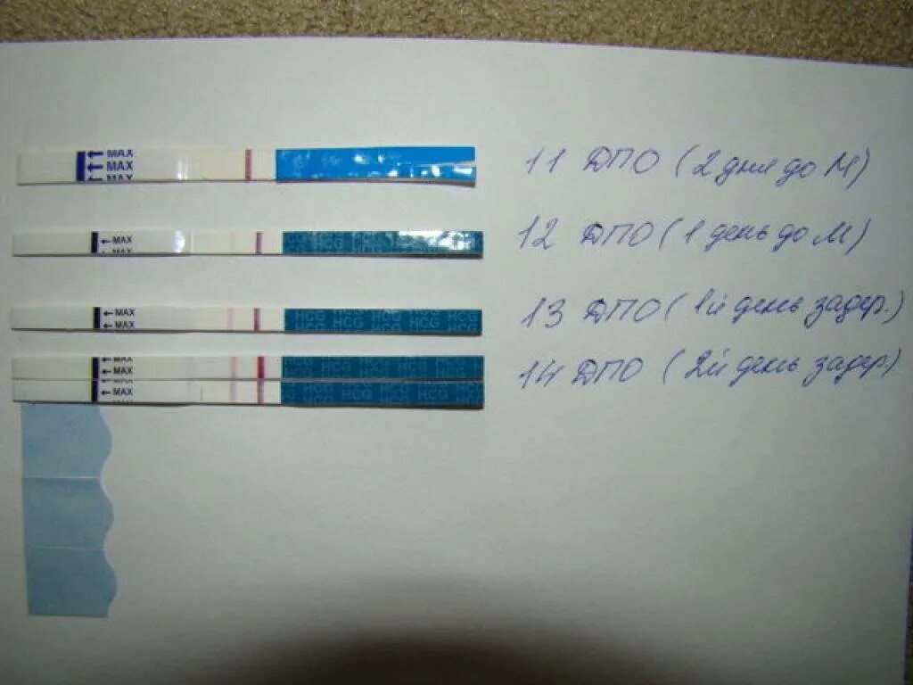 Может ли положительный тест ошибаться. Тест-полоски на беременность на ранних сроках. Положительный тест на беременность. Тест на беременность положи. Положительный тест на берем.