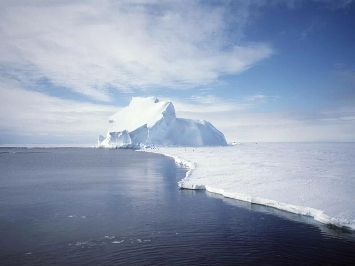 На льдах какого залива обитают белые. Залив Маккензи Антарктида. Море Рисер-Ларсена. Ледник Ларсена. Элсуорт Антарктида.