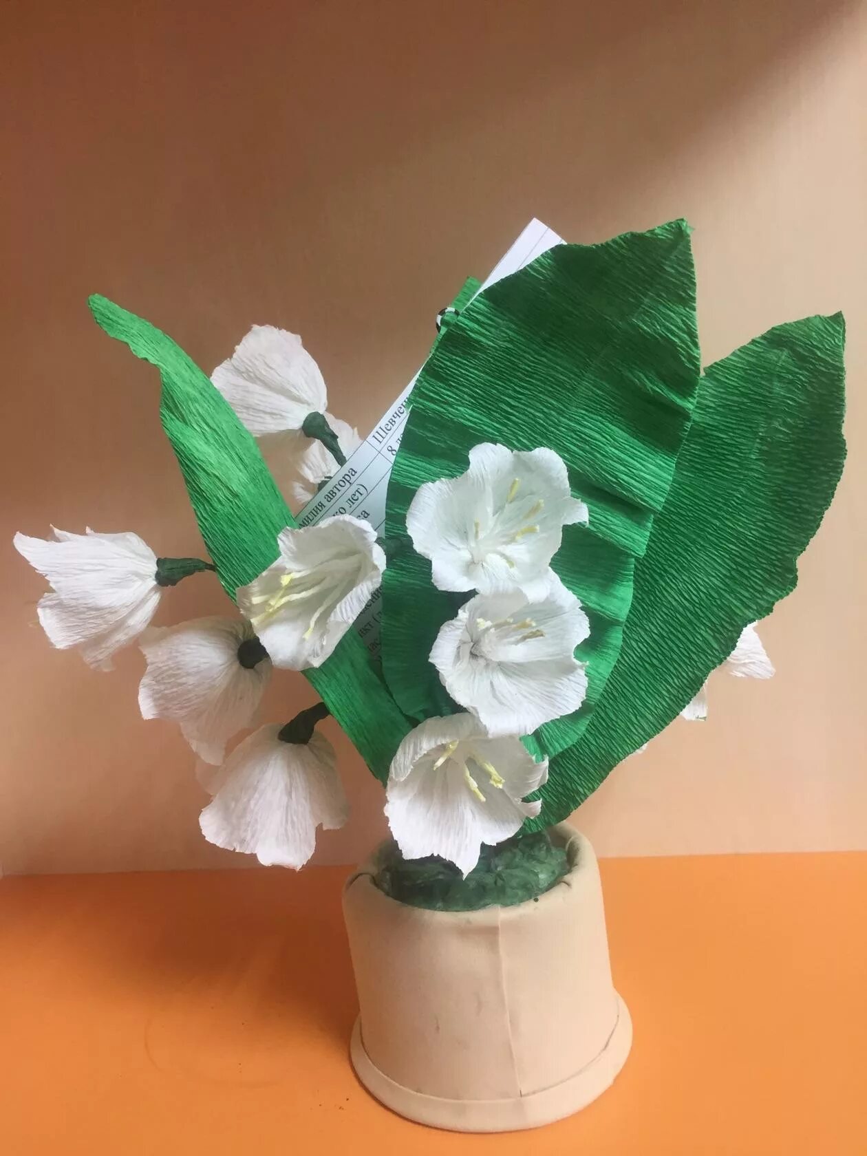 конкурс первоцвет 2024 красноярск. конкурс первоцвет. сбережем первоцветы поделки. конкурс первоцвет. конкурс первоцвет.