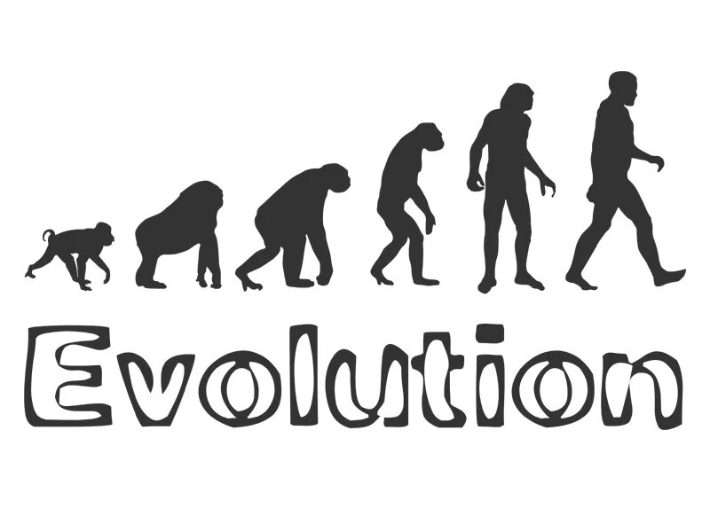 Evolution study. Эволюция. эволюция надпись. evolution картинки. эмблема эволюция человека.