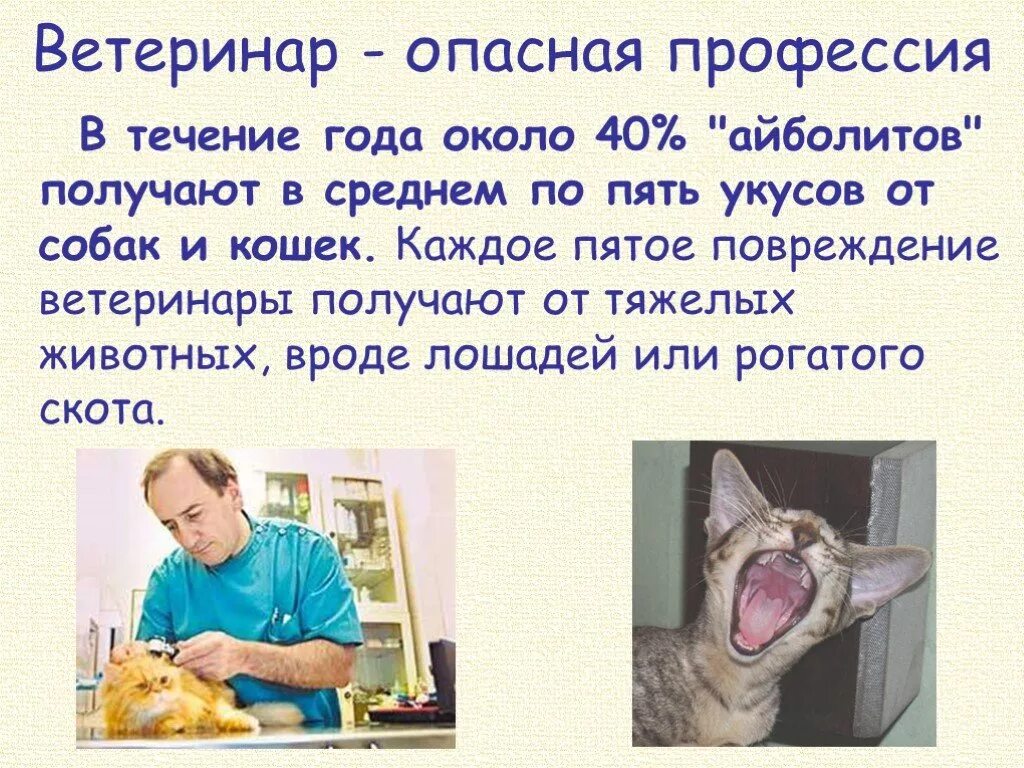 Ветеринар доклад