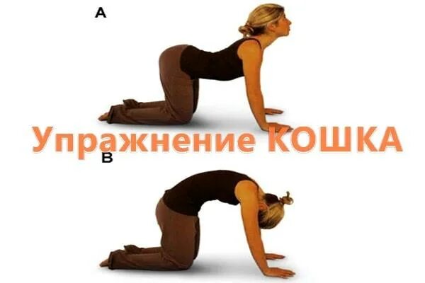 Поза при тонусе. Упражнение кошечка для беременных. Упражнения при тонусе матки. Гимнастика при гипертонусе у грудничка 5 месяцев. Баддха конасана айенгар.