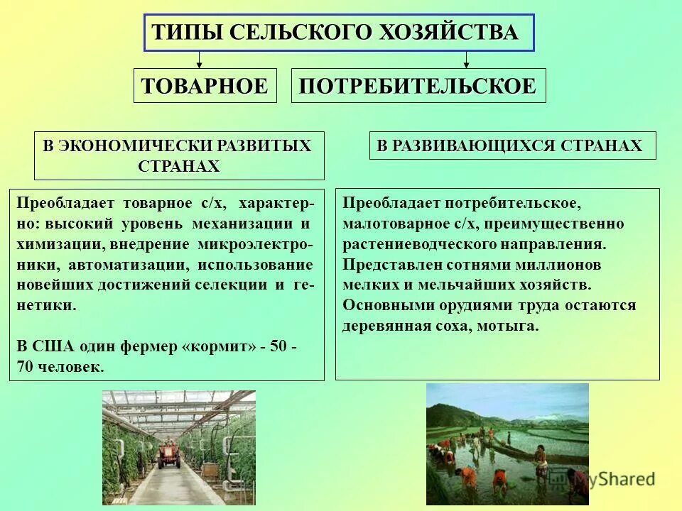 Разделение труда в мировой экономике. Страны с развитой экономикой. В сельском хозяйстве развитых государств преобладает. Доля населения занятого в сельском хозяйстве какая страна. География сельского хозяйства.