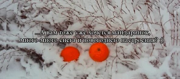 Высказывания про снег. Фразы о зиме и снеге. Цитаты про зиму. Высказывания о зиме. Красивые высказывания о зиме.