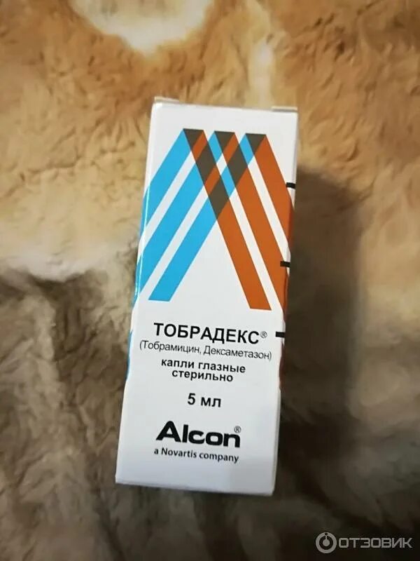 Тобрадекс возраст. Тобрадекс глазные капли. глазные капли антибиотик тобрадекс. капли для глаз турдекс. tobradex капли для глаз.