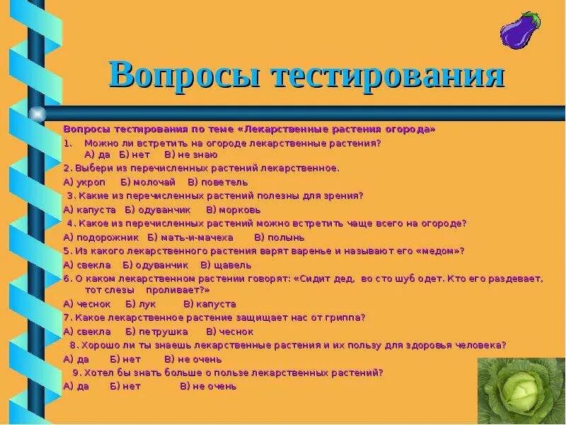 Анкетирование комнатные растения. Загадки про растения для детей. Вопросы на тему растения. Вопросы про травы. Жизнь луга 4 класс.