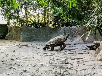 Знаменитый зоопарк