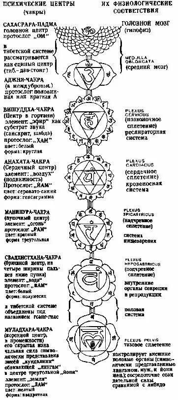 Pin by Гатия Абрахманова on Occluded Chakra meditation, Chakra system, Chakra