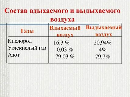 Вдыхаемый воздух кислород азот углекислый