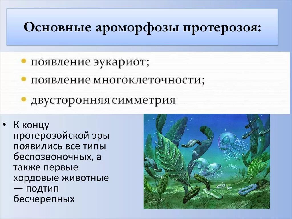 Многоклеточные организмы возникли в эру. Ароморфозы протерозой эры. Протерозой ароморфозы растений и животных. Протерозой ароморфозы растений. Протерозойская Эра ароморфозы животных.