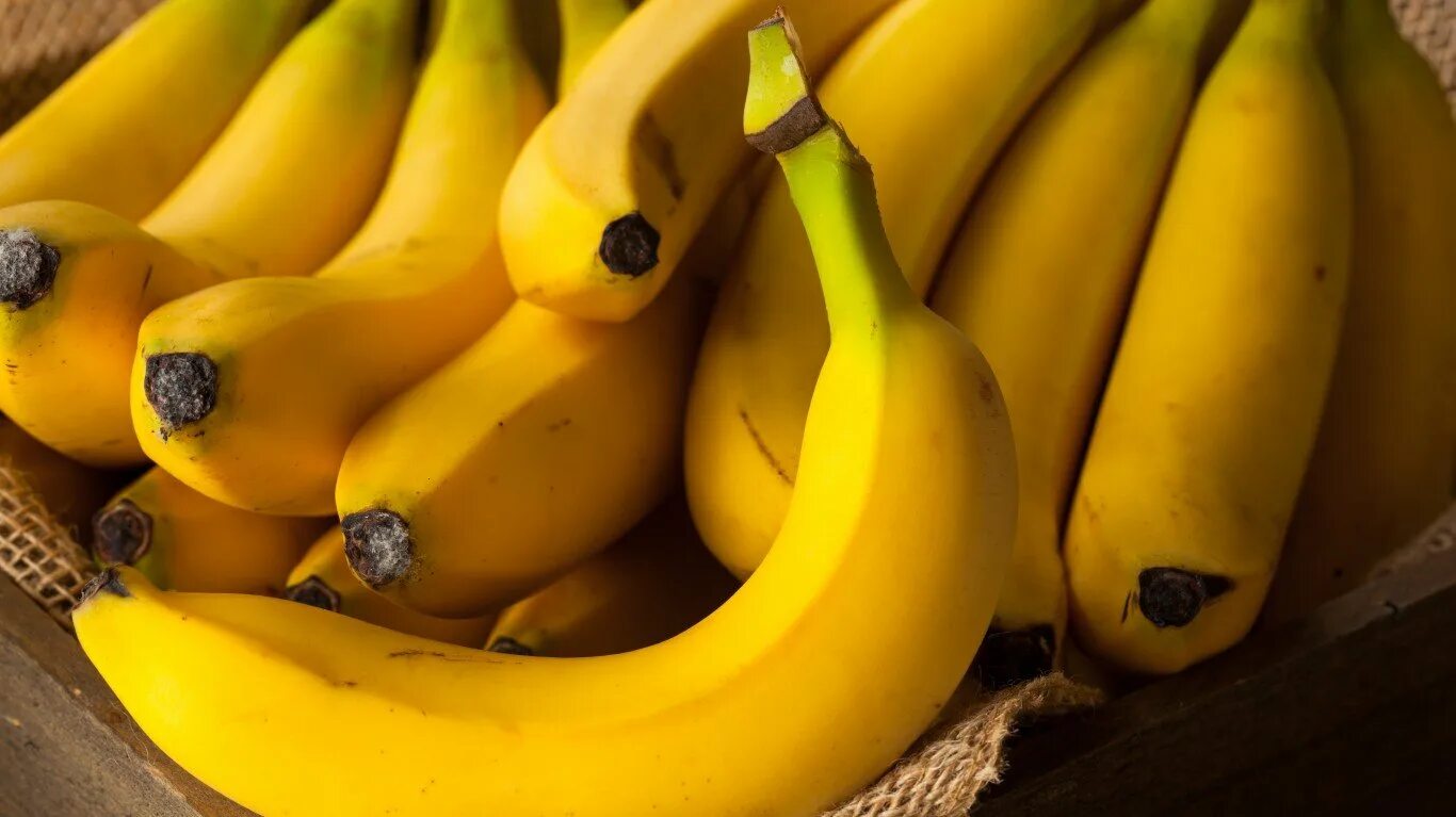 2 muz. Банан. Фрукты банан. Красивый банан. Банан фото.