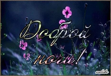 Гифки добрый вечер и доброй ночи новые
