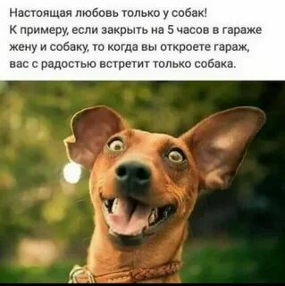 Прикол мужским голосом