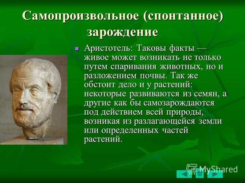 Происхождение жизни самопроизвольно. Аристотель теория самозарождения. Самопроизвольное Зарождение. Теория самопроизвольного зарождения жизни. Теория самопроизвольного (спонтанного) зарождения.