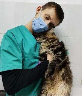 Ветклиника фауна