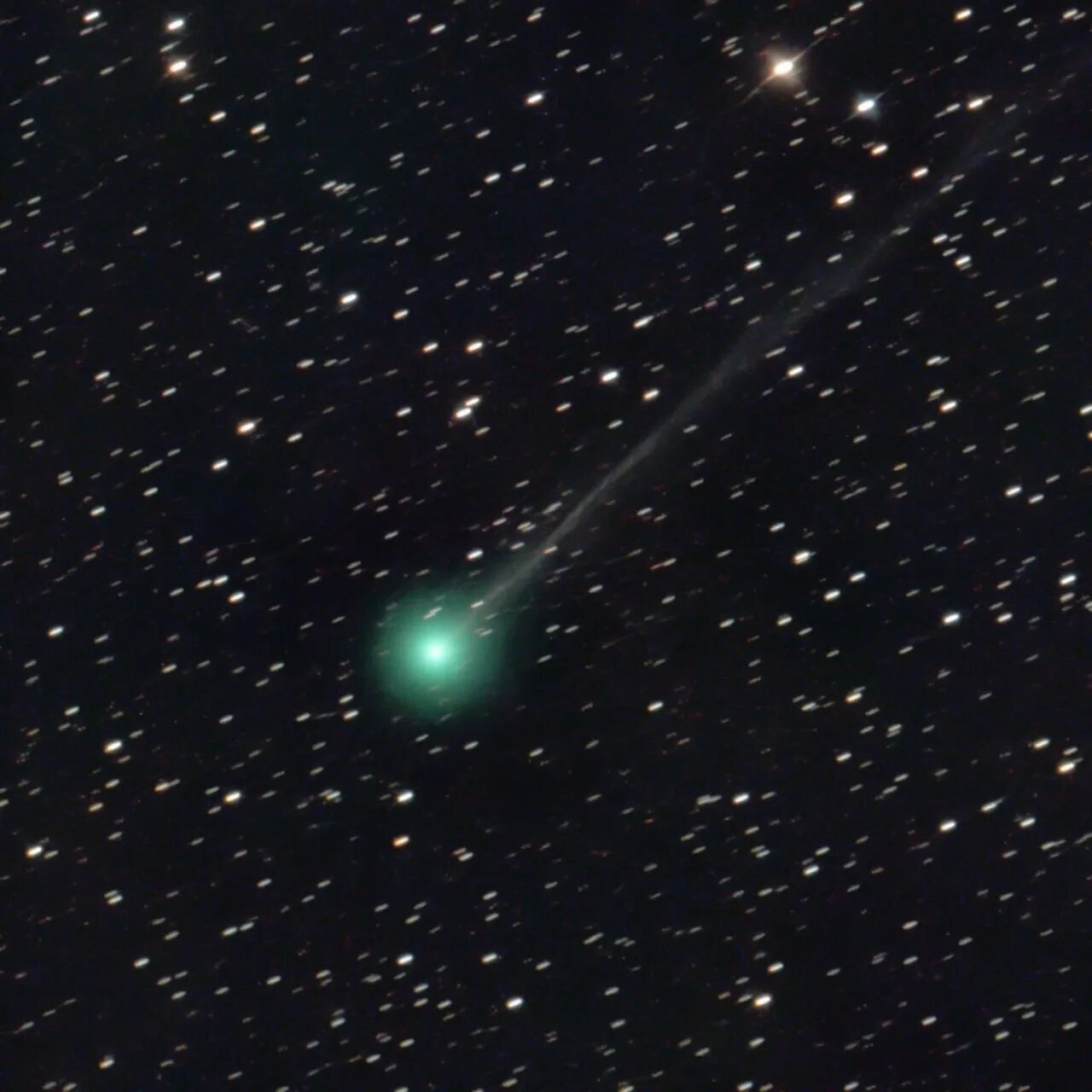 Когда можно увидеть комету в москве. C/2023 p1. Комета Нишимура. Как выглядит Комета. Как выглядит Комета с земли.