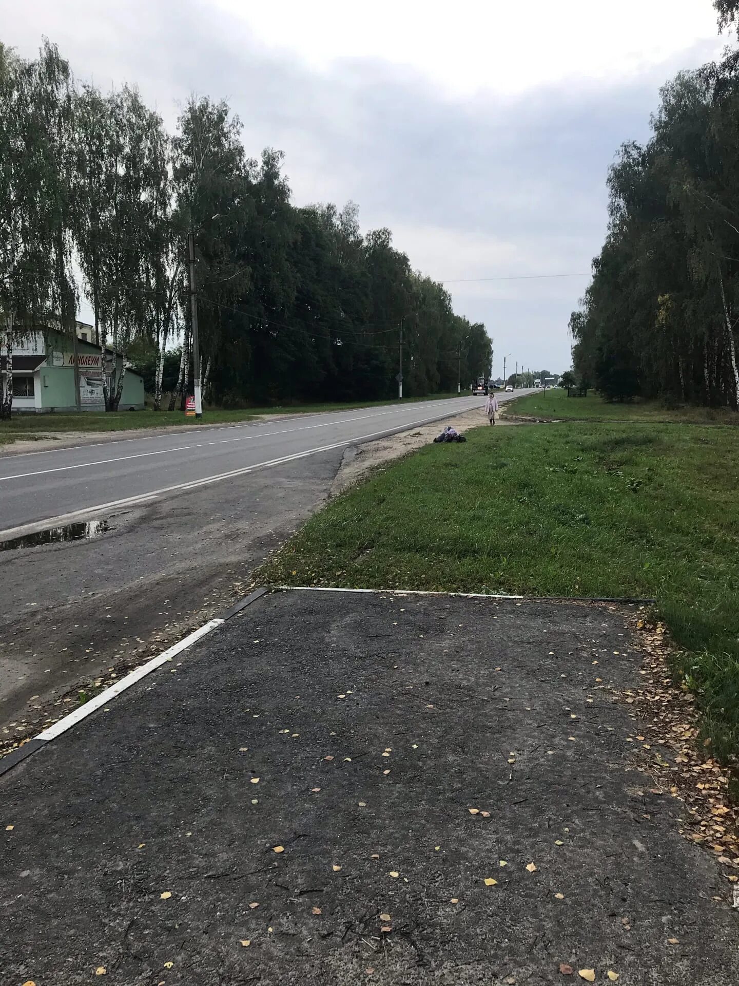 Когда дадут свет в поселок. Когда дадут свет в поселок. Фонарный столб в деревне. Столбы освещения с фонарями в деревне. Когда дадут свет в поселок.
