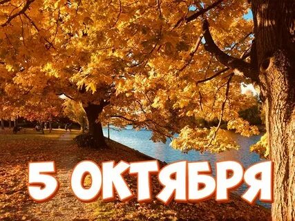5 октября это какой день