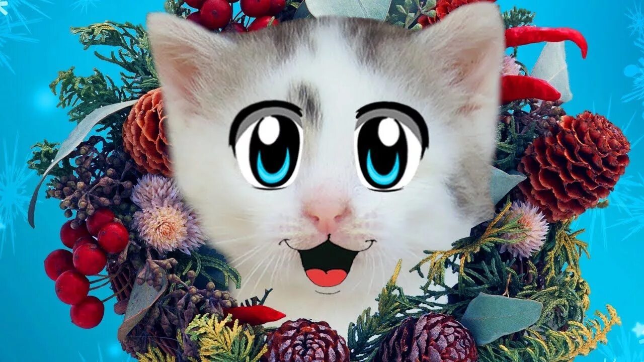 Давай ка точка. Котики анука давайка. анука давайка новый год. а ну-ка давай-ка мурка. кошечка мурка анука давайка.