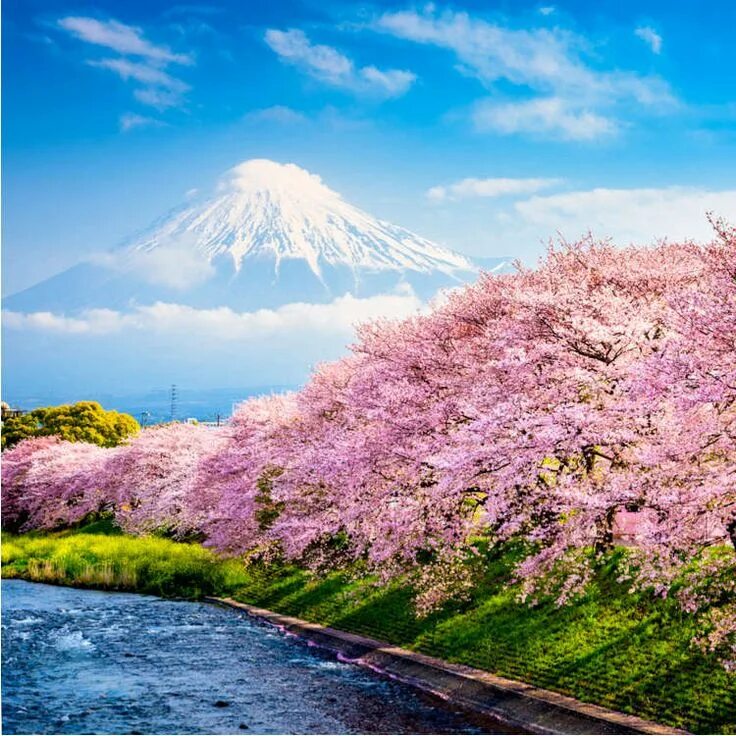Spring travel