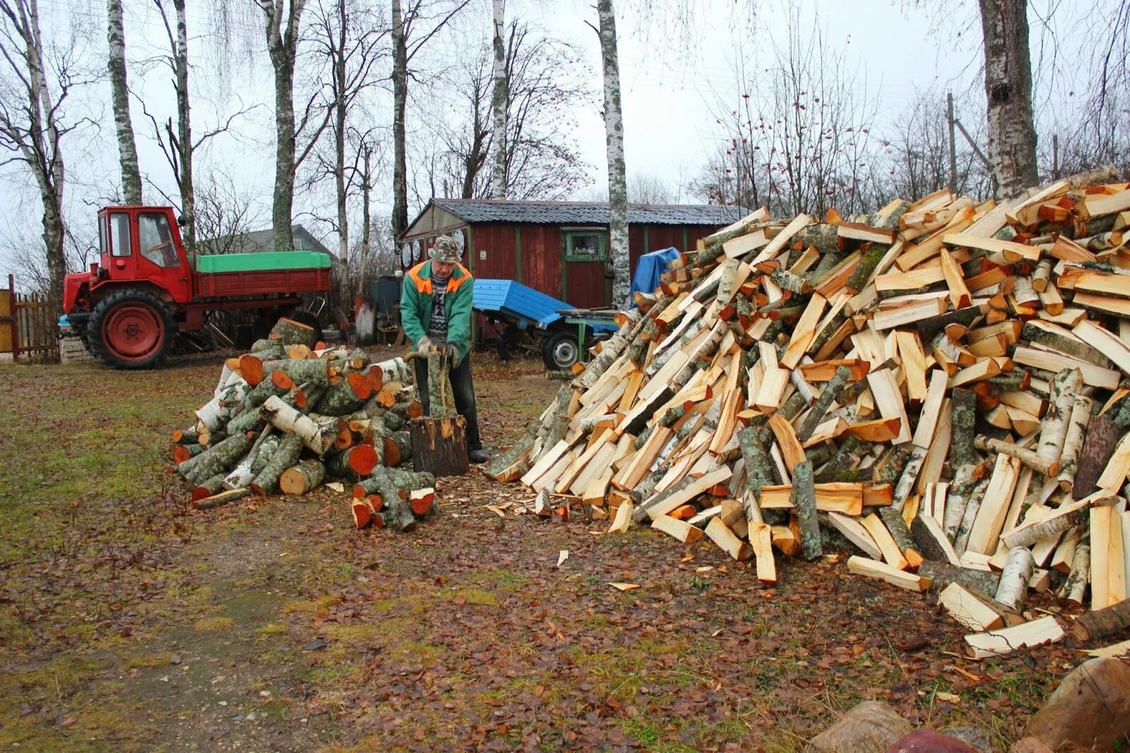 Дрова дубовые. Дрова дубовые колотые. Дрова на растопку. Ворованные дрова. Дрова в деревне.