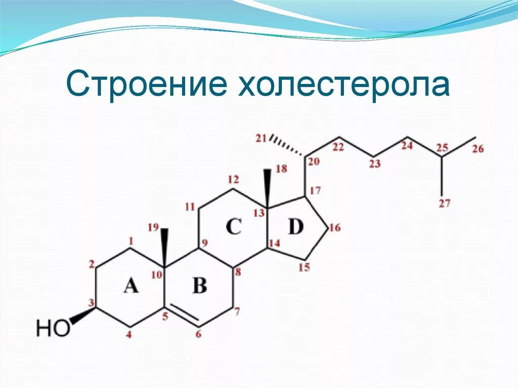 Холестерол строение биохимия. Химическая структура холестерина. Холестерол структура. Строение холестерола биохимия. Биологическая роль холестерина