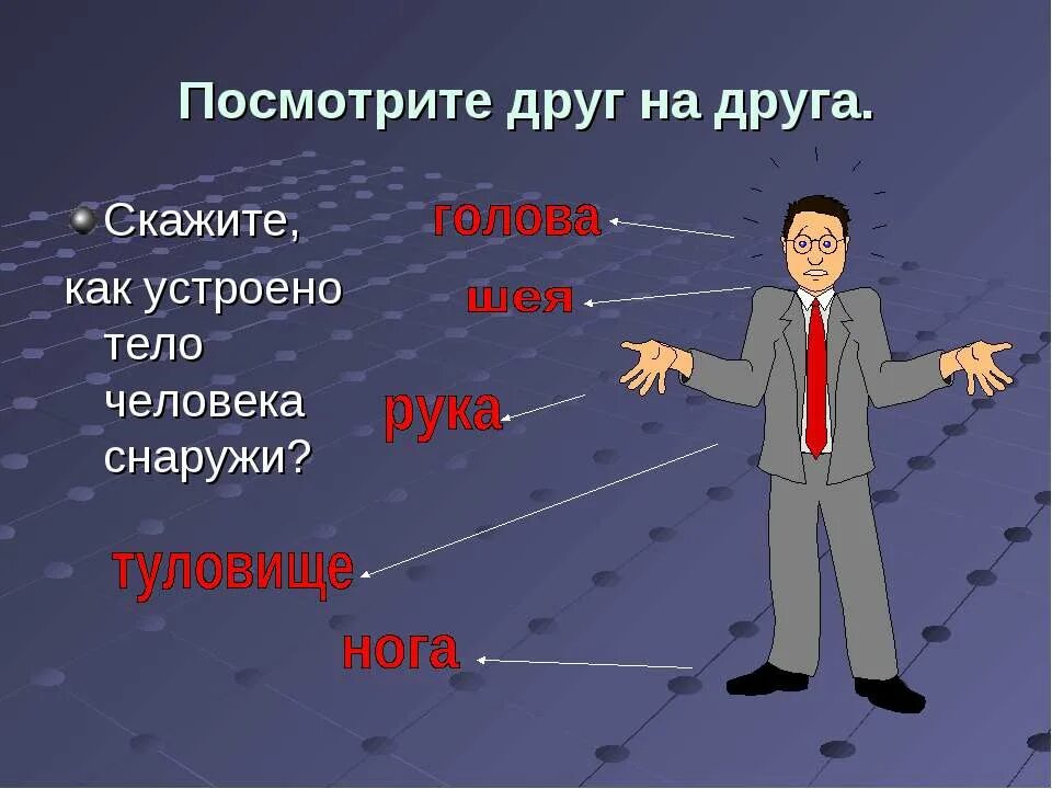 Как устроен человек. Тело человека снаружи. Человеческий организм как устроен организм человека. Как устроено тело человека. Как устроен другой человек