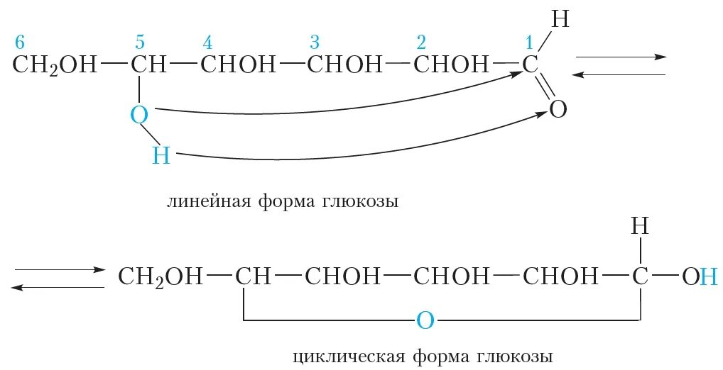 Практическая работа углеводы 10 класс. Линейная альдегидная форма Глюкозы. Циклическая форма Глюкозы. Альдегидная форма Глюкозы +h2. Циклическая Глюкоза.