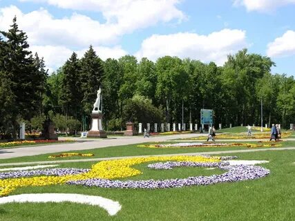 Северный парк территория