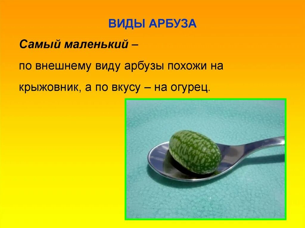 Загадка про похож. Загадки про Арбуз. Загадка про Арбуз для детей 3-4. Загадки про Арбуз для 2 класса. Загадка про Арбуз для детей.