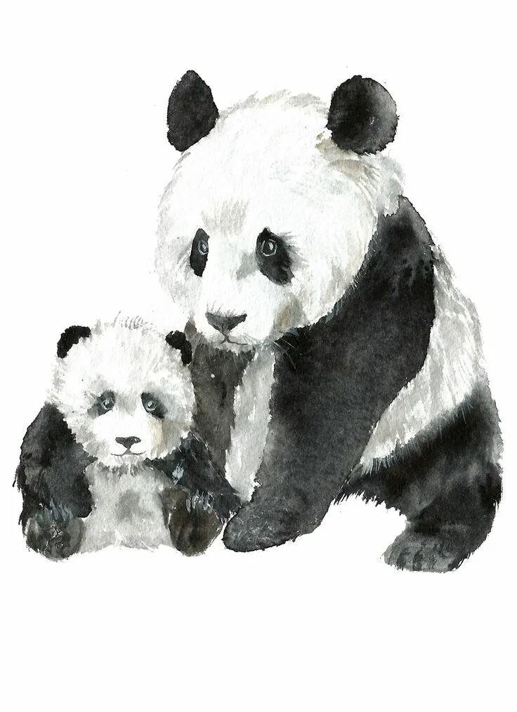 Pandas buy