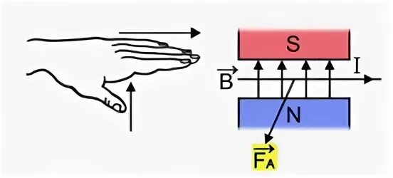 Правило левой руки. Направление силы Ампера рисунок. Правило левой руки для силы Ампера. Направление силы Ампера примеры рисунки. Самостоятельная работа по левой руке физика