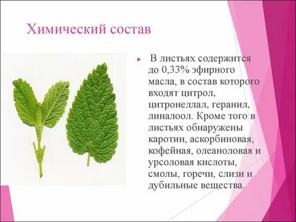 В листьях содержится