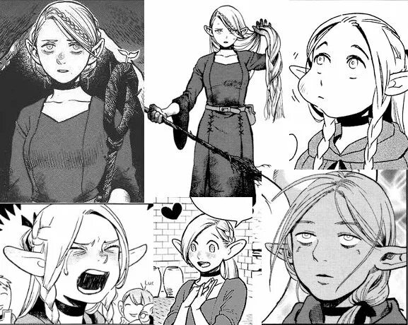 Dungeon Meshi izutsumi. Marcille Dungeon Meshi. Dungeon Meshi mithrun. Фарлин Dungeon Meshi. Dungeon meshi characters