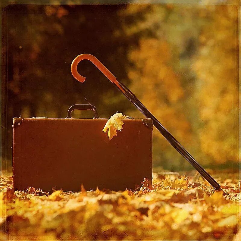Приходит октябрь. Уходит осень. Осень ассоциации. Прощание с осенью. Осень чемодан.
