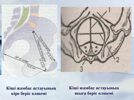 Аталық пирсинг туралы порно блог