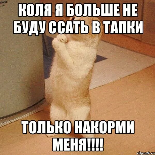 Я больше так не буду картинки. Я больше не буду. коля прости меня. я тебя умоляю мем. картинка больше не буду.