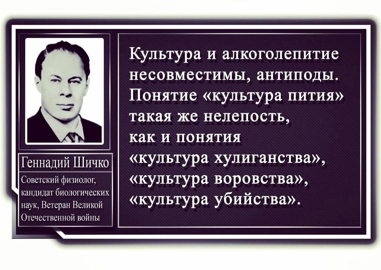 Культурное употребление. Культура пития. Цитаты шичко. Метод шичко фото. Фразы о культуре пития.