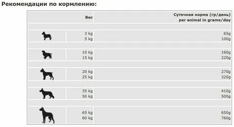 Нормы кормления собак