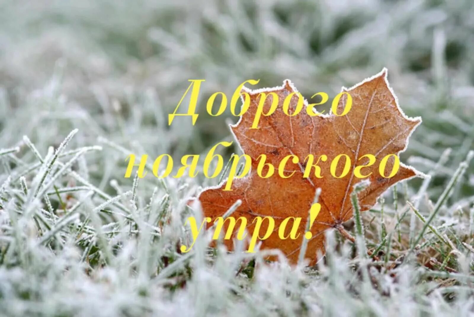 Пожелания с первым днем ноября. Поздравление с 1 ноября. Открытки с добрым ноябрьским утром. Открытки с ноябрем прикольные. Открытки с ноябрем.